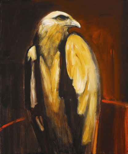 Hawk