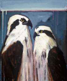 Ospreys At Dawn