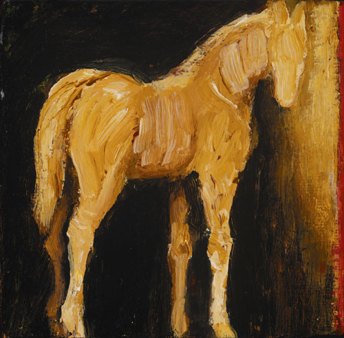 horse loking 4